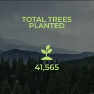 When you buy a Stonewood vanity, you're not only making your bathroom better - you're also making an environmental impact. For every Stonewood vanity sold, we plant a tree. Last year, we planted 41,565 trees with our partner, WEARTH!

For more information on our tree-planting initiatives, please visit our website - link in bio 🔗

#homedesignideas #plantatree #bathroomdesign #bathroomrenovation #bathroomreno #stonewoodbathcabinetry